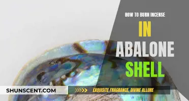 Burning Incense in Abalone Shells: A Beginner's Guide