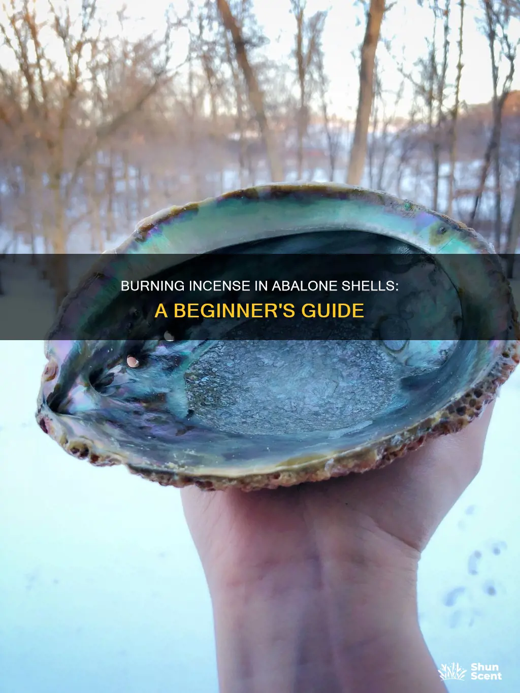 how to burn incense in abalone shell