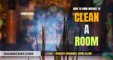 Purifying Spaces: Burning Incense for Room Cleansing