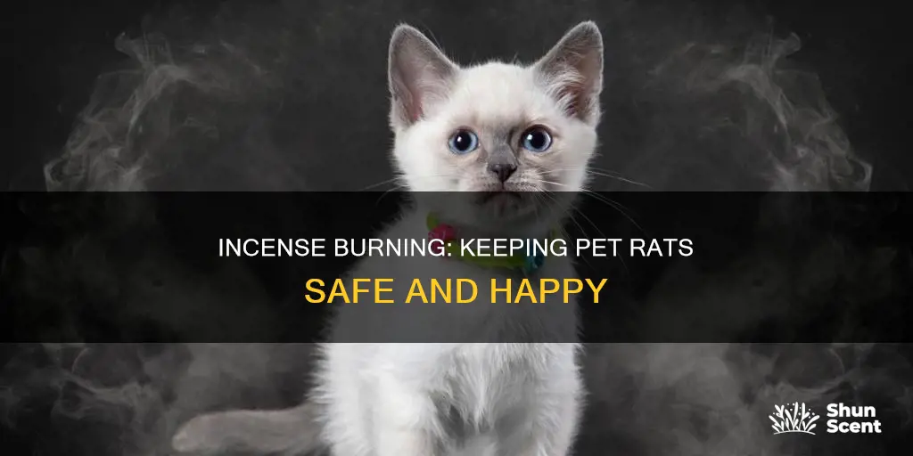 how to burn incense without hurting pet rats