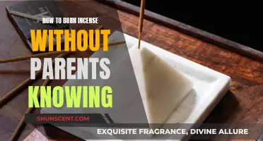 Concealing Incense Burning from Parents: Tips for Discretion