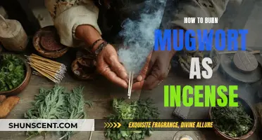 Burning Mugwort: A Guide to Using Mugwort as Incense