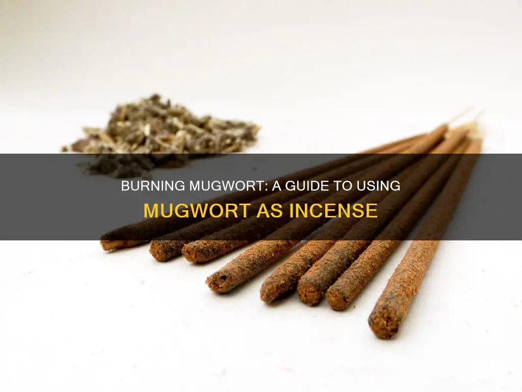 how to burn mugwort as incense
