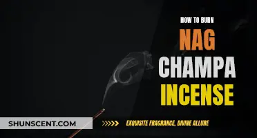 The Fragrance of Nag Champa: Burning Incense the Right Way