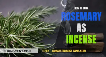 Burning Rosemary: A Guide to Using Rosemary as Incense