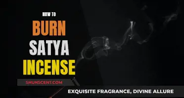 The Art of Burning Satya Incense: A Guide