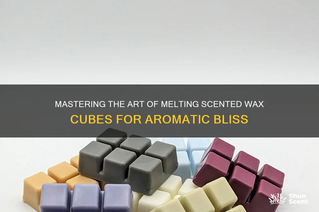 how to burn scented wax cubes