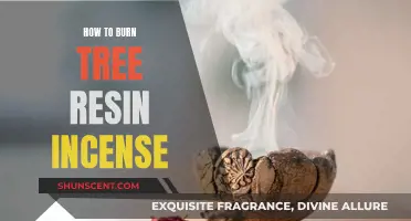 Burning Tree Resin Incense: A Beginner's Guide