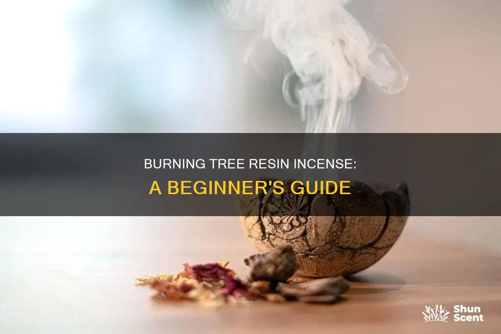 how to burn tree resin incense