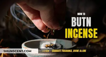 Burning Incense: A Beginner's Guide to Getting Started