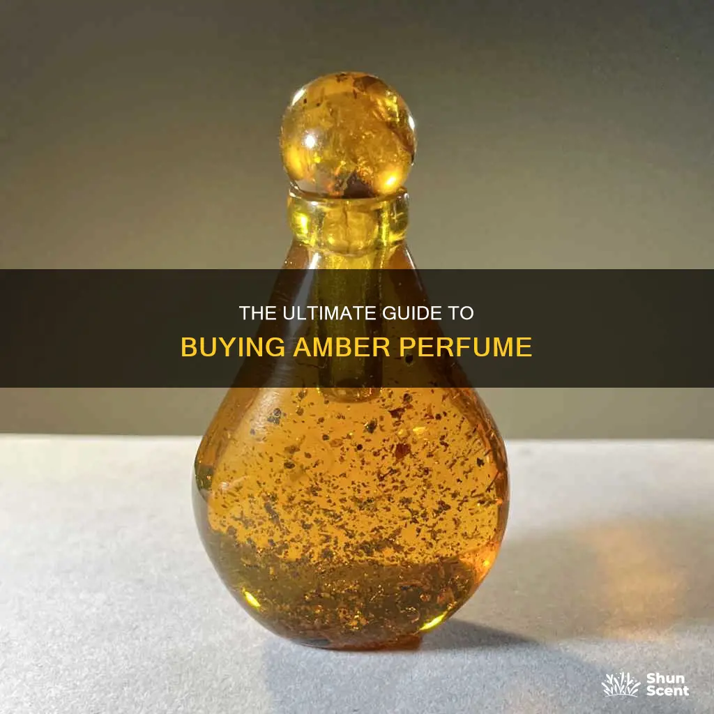 how to buy amber perfume