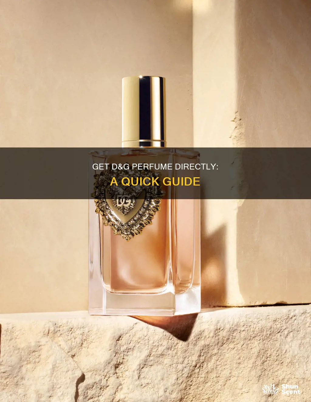 how to buy d&g perfume direclty