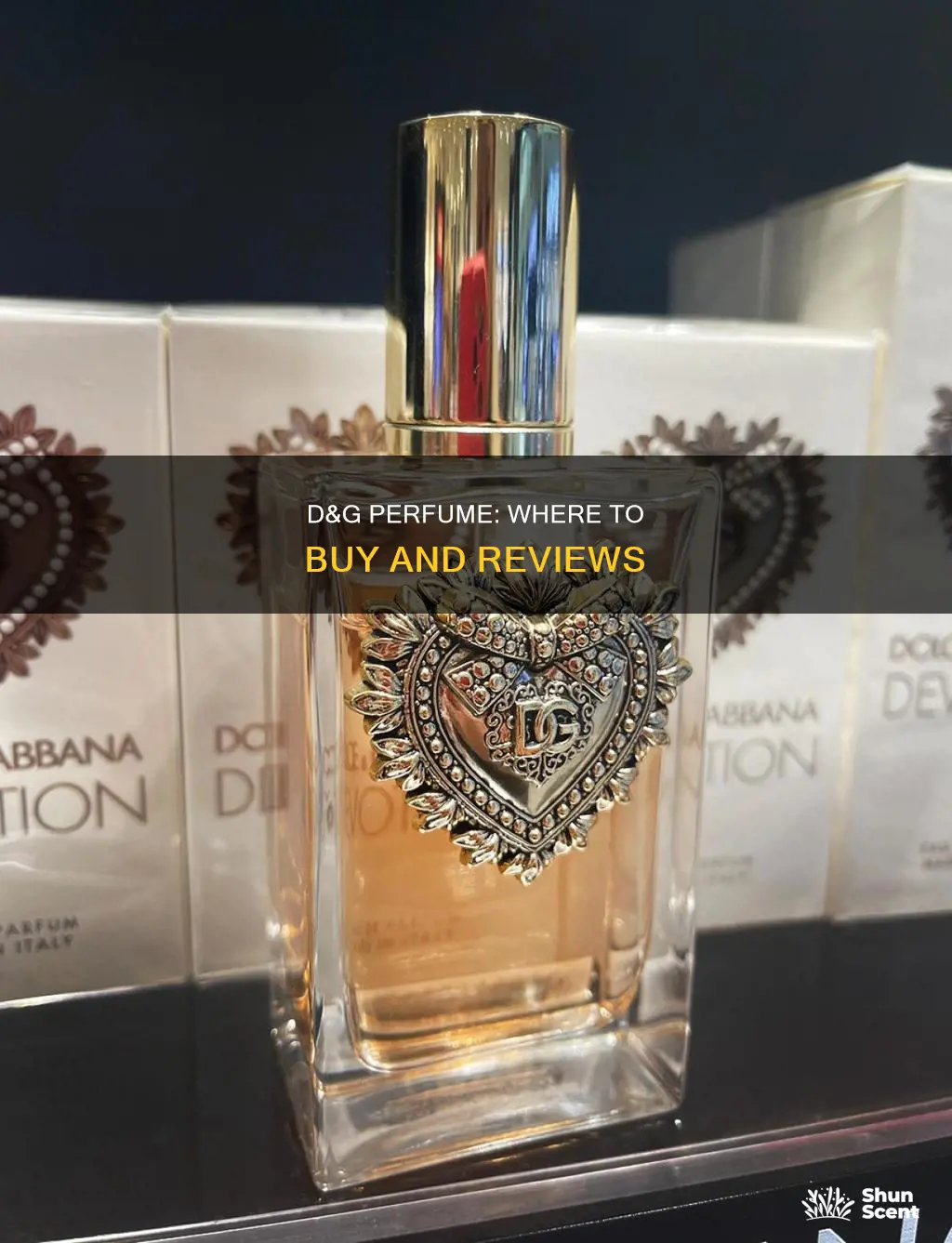 how to buy d&g perfume directly review