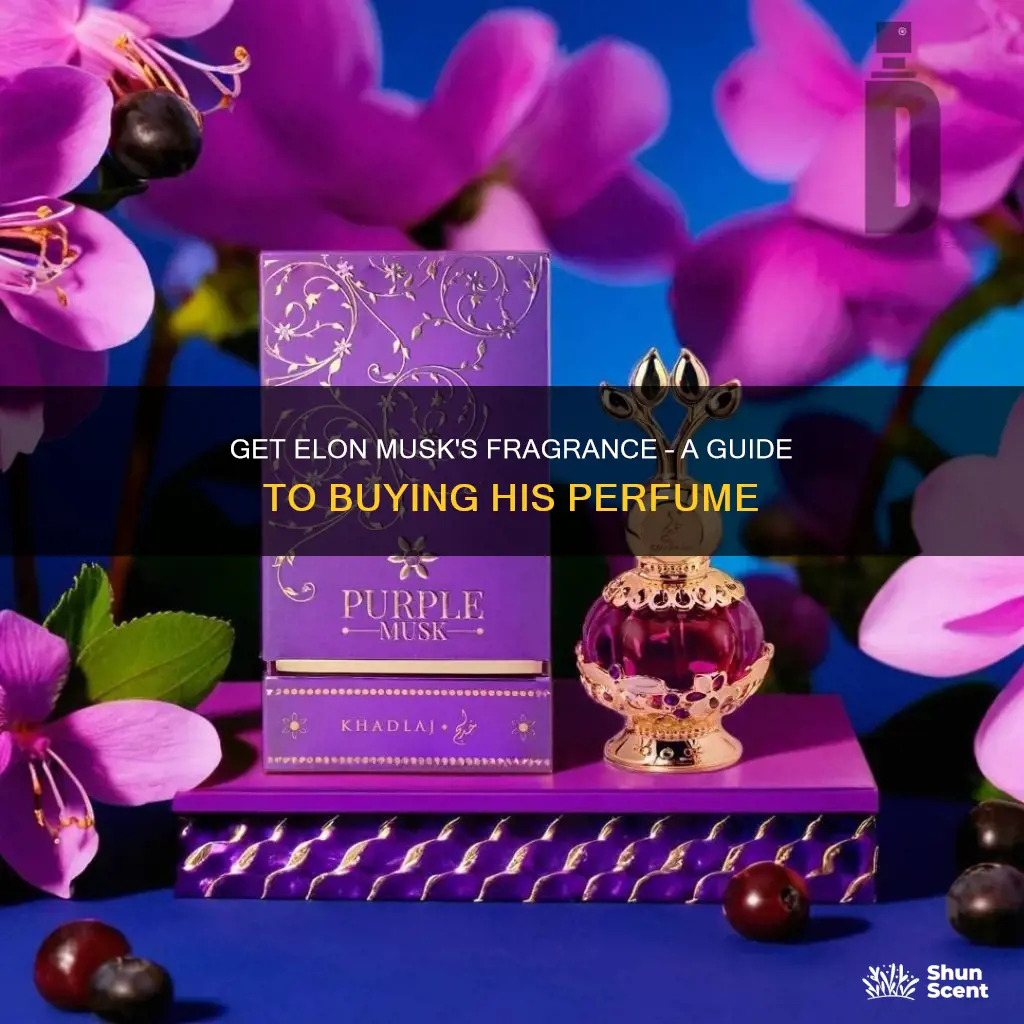 how to buy elon musk perfume