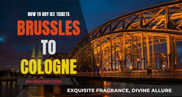 Buying ICE Tickets: Brussels to Cologne