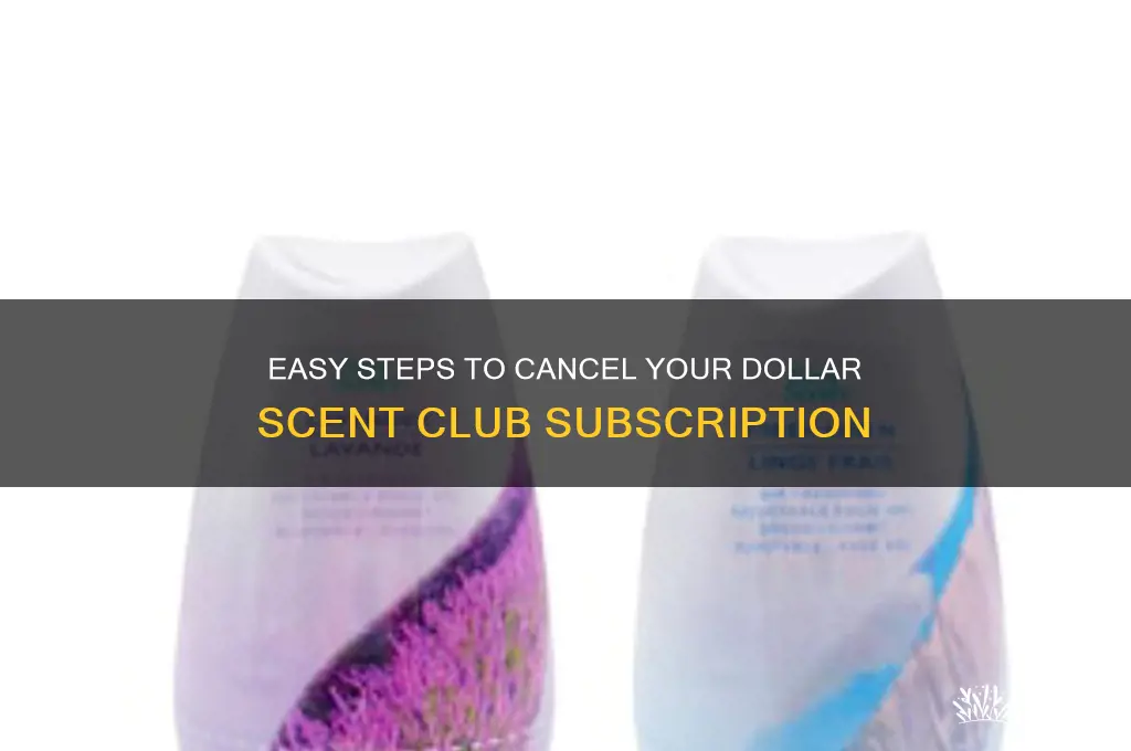 how to cancel dollar scent club