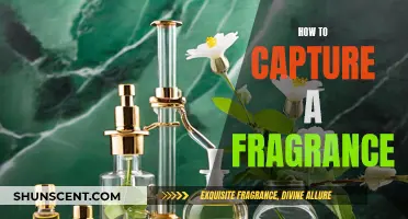 Capturing Scents: Fragrance Photography Techniques for Beginners