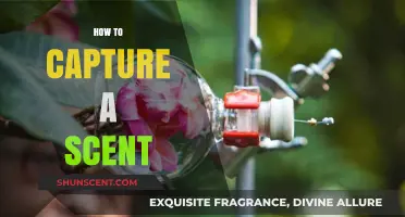 Mastering the Art of Capturing and Preserving Scents Effectively