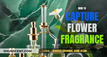 Capturing Nature's Fragrance: Flowers and Their Scents