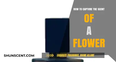 Capturing Floral Fragrance: Techniques to Preserve a Flower's Scent