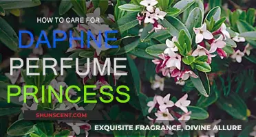 The Care Guide for Daphne Perfume Princess