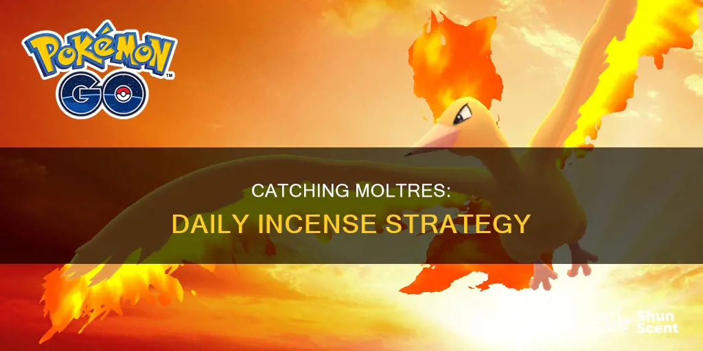 how to catch moltres with daily incense