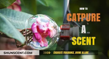 Mastering the Art of Scent Capture: Techniques and Tools Revealed