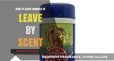 Effective Scent Strategies to Humanely Deter Animals from Your Property