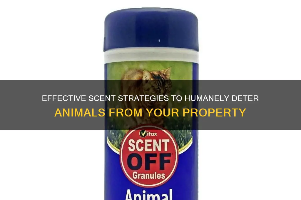 how to cause animals to leave by scent