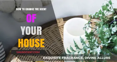 Transform Your Home's Ambiance: Easy Tips to Change House Scents