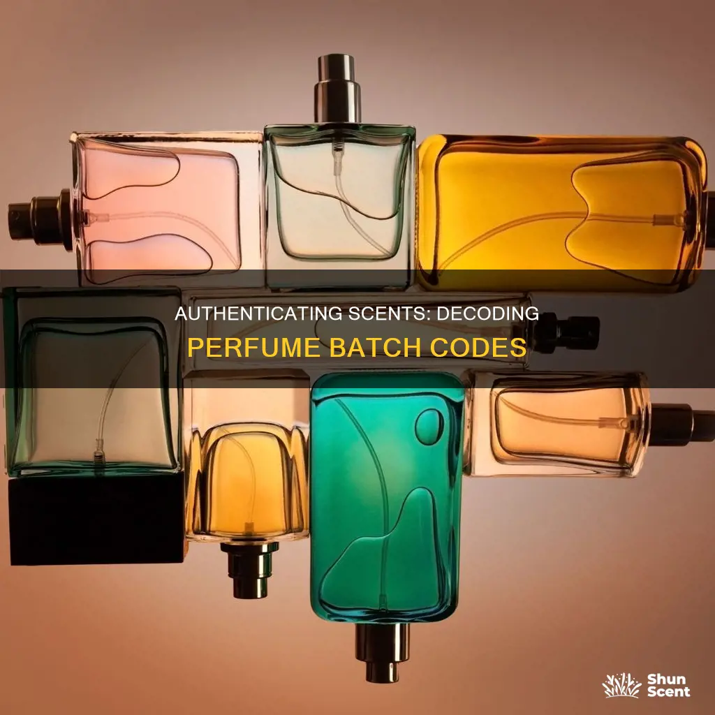 how to check a perfume batch code