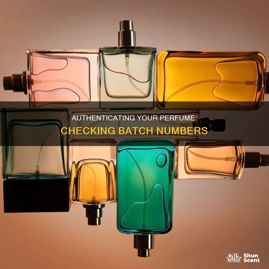 how to check batch number of perfume