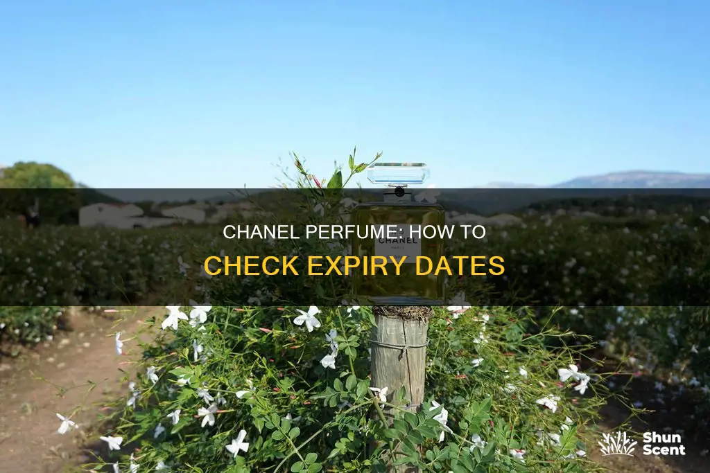 how to check chanel perfume expiry date