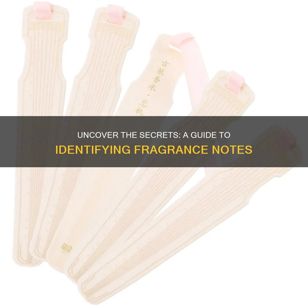 how to check fragrance notes