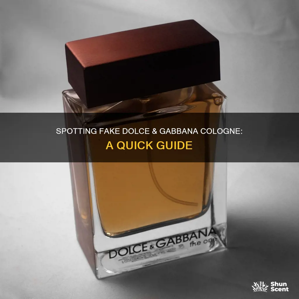 how to check if dolce and gabbana cologne is fake