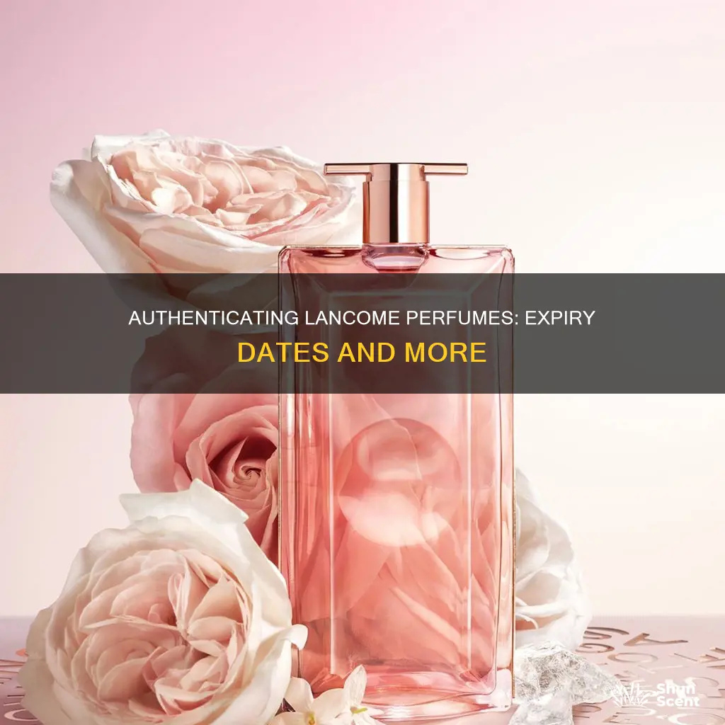 how to check lancome perfume expiry date