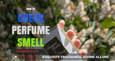 Test Scents: A Guide to Testing Perfume
