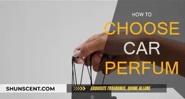 Choosing the Right Car Perfume: A Quick Guide