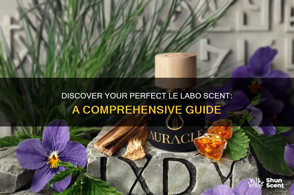 how to choose le labo scent