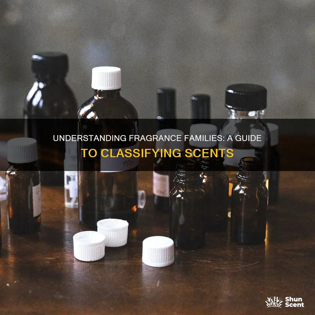 how to classify fragrances