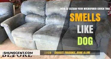 Freshen Up Your Microfiber Couch: A Guide to Removing Dog Odors