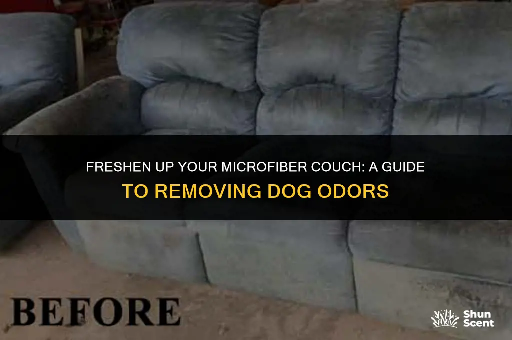 how to cleaan your microfiber couch that smells like dog