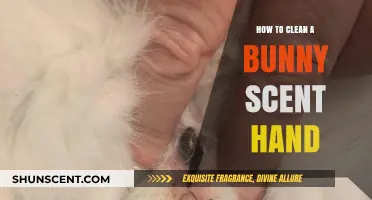 Effective Tips to Remove Bunny Scent from Your Hands Easily