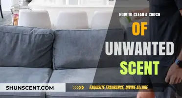 Effective Couch Cleaning Tips: Eliminate Unwanted Odors and Refresh Your Sofa