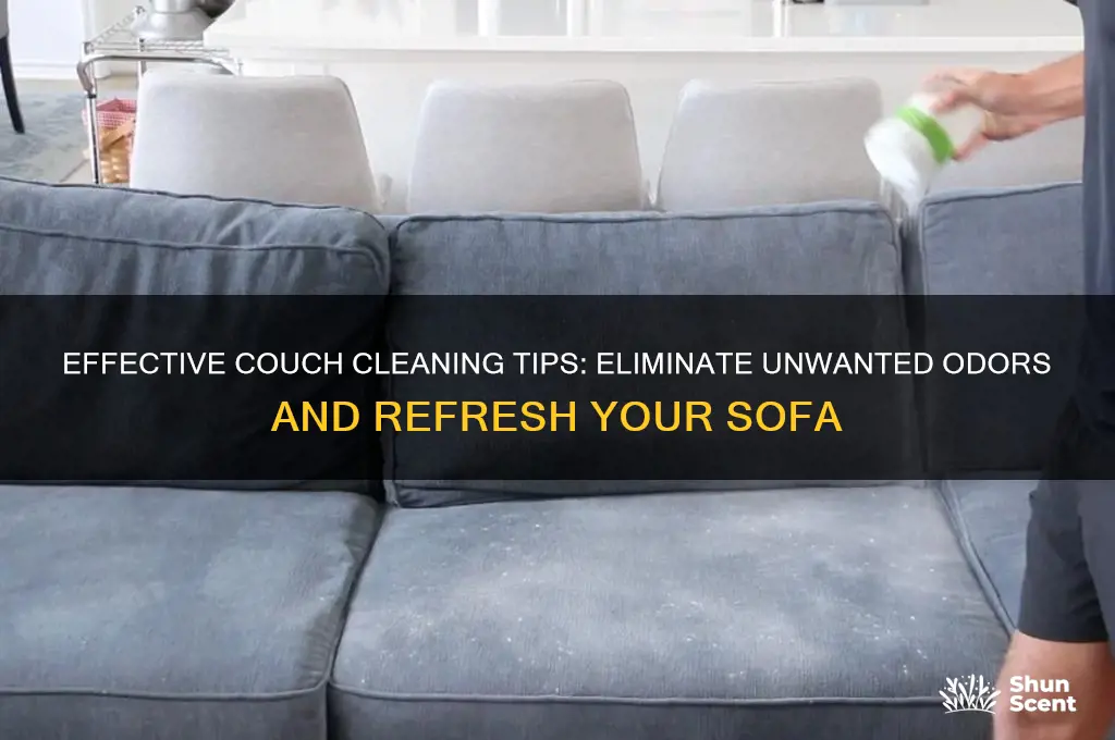 how to clean a couch of unwanted scent