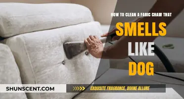 Freshen Up Your Fabric Chair: A Guide to Removing Dog Odors