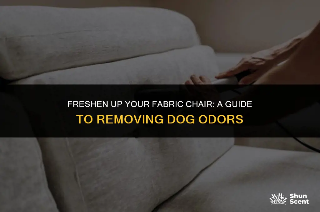 how to clean a fabic chair that smells like dog
