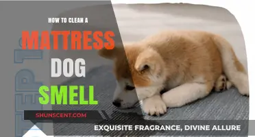 Freshen Up Your Mattress: A Guide to Removing Dog Odors