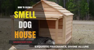 Freshen Up Your Pup's Pad: A Guide to Cleaning a Smelly Dog House