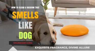 Freshen Up Your Vacuum: A Guide to Eliminating Dog Odors